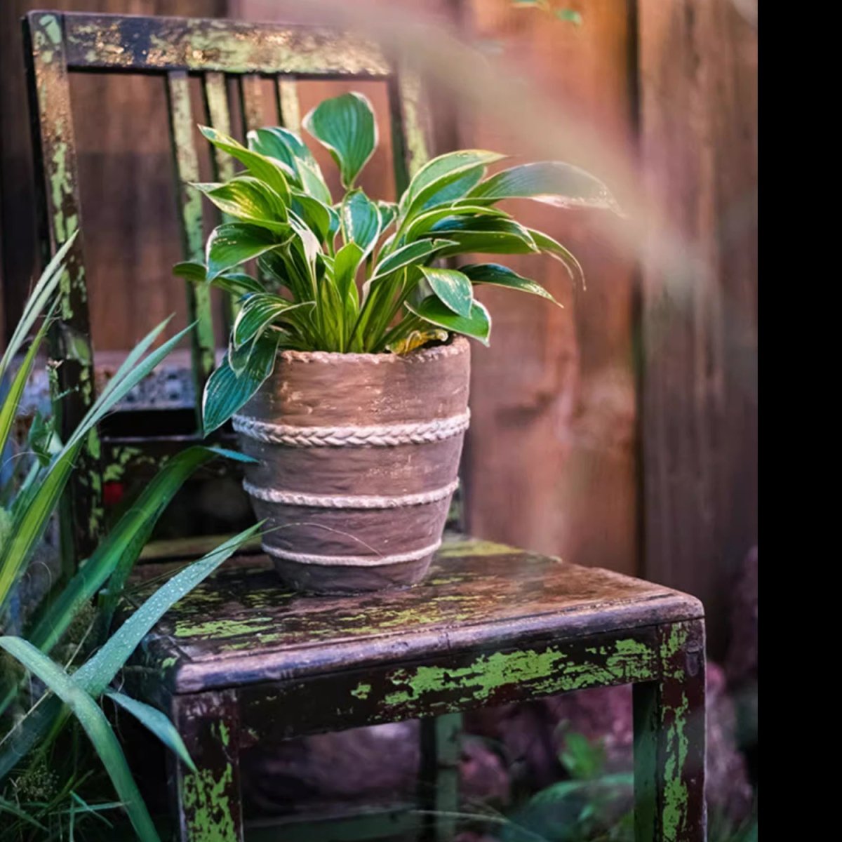 Terracotta-toned planter with braided rope trim and a leafy plant on a stand