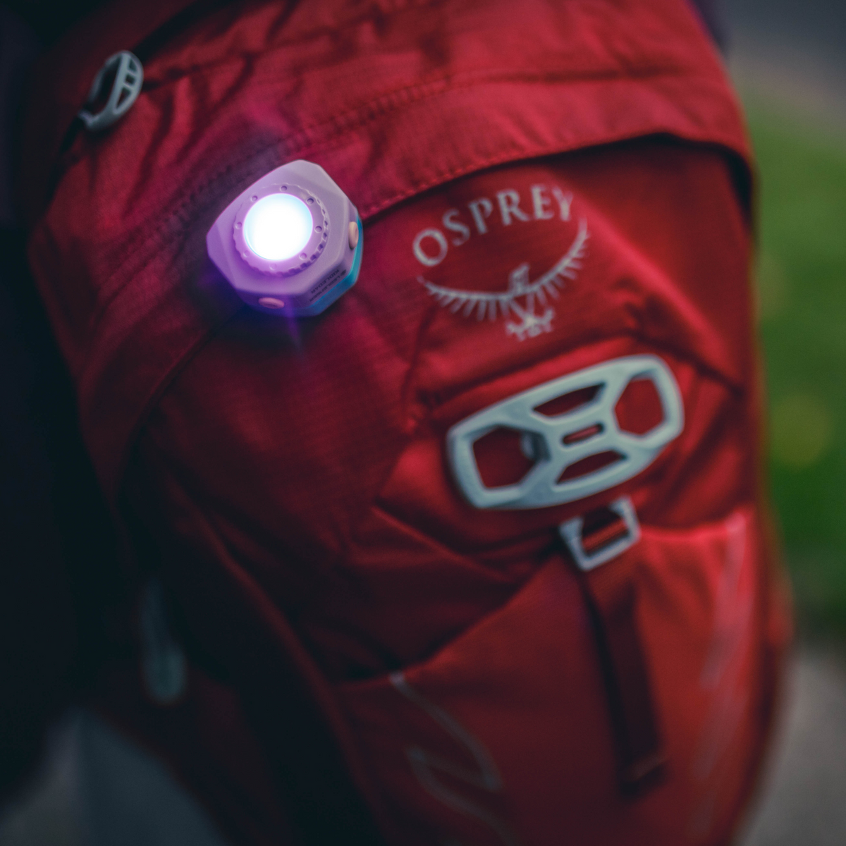Purple glowing kids headlamp clipped to red jacket fabric