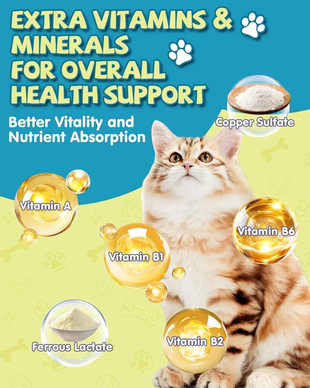 Cat supplement health graphic featuring a cat and vitamins and minerals