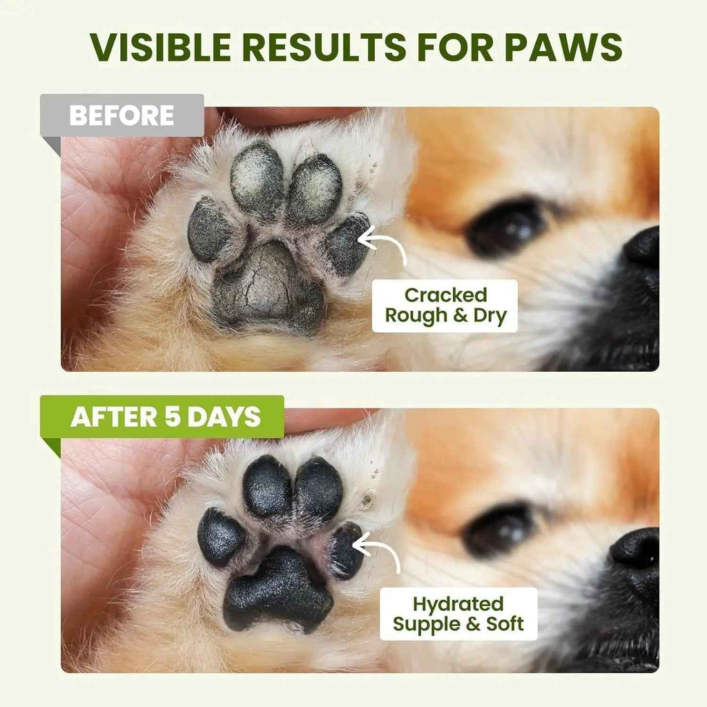 Close-up comparison of a dog's paw pads before and after balm use
