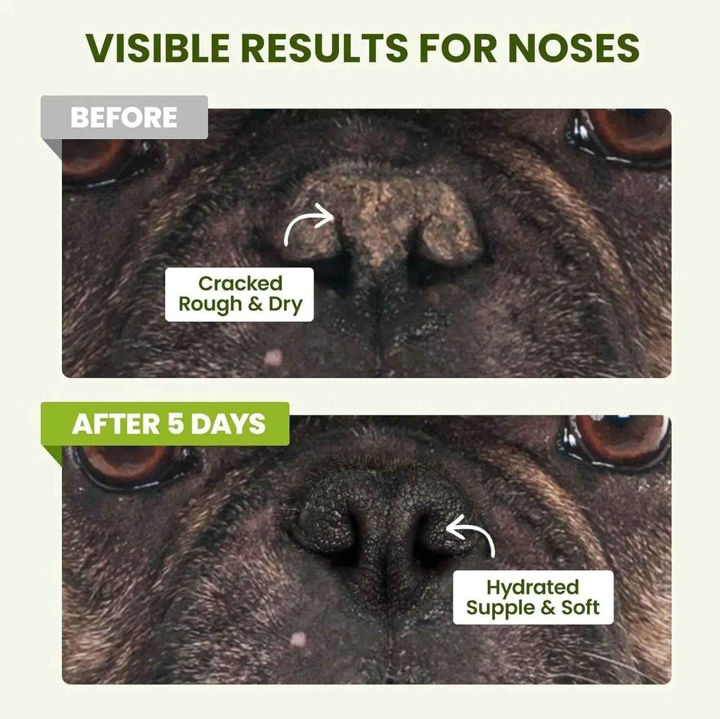 Close-up comparison of a dog's nose before and after balm use