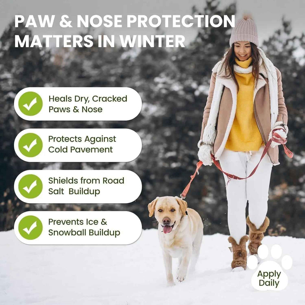 Dog walking in snow beside a person, with paw and nose balm winter-care tips