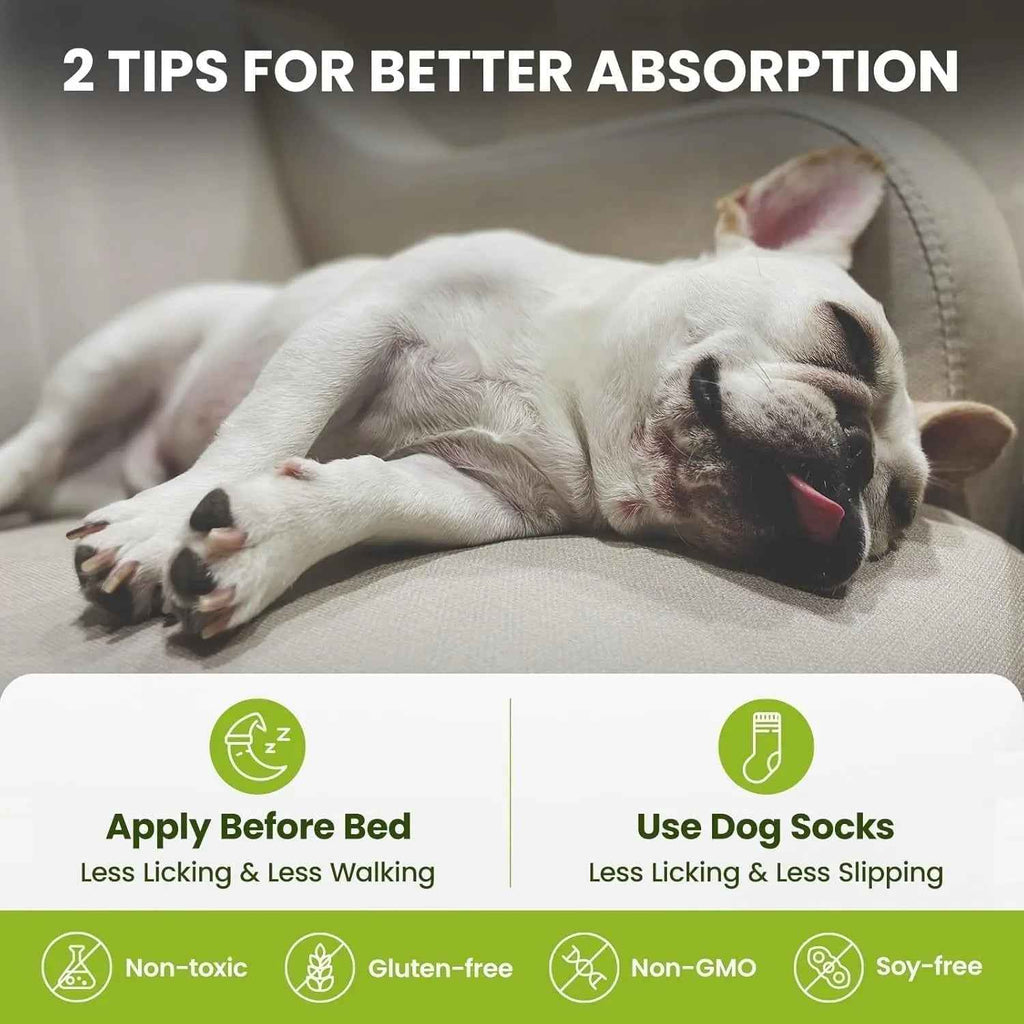 Sleeping dog with tips for applying paw and nose balm before bed or with dog socks