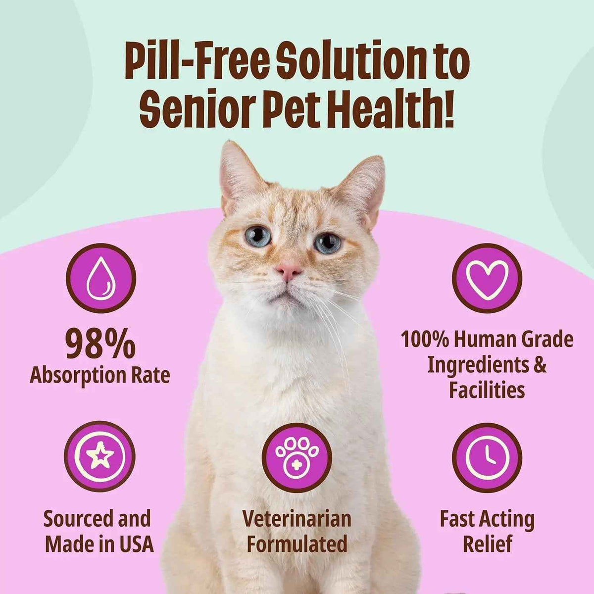 Senior Cat gel supplement promoted as a pill-free solution for older pets