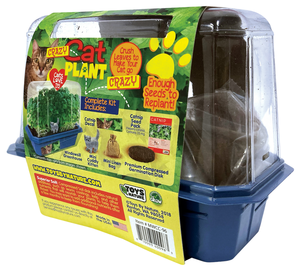 Crazy Cat Plant terrarium kit packaging showing included seeds, catnip, and growing accessories