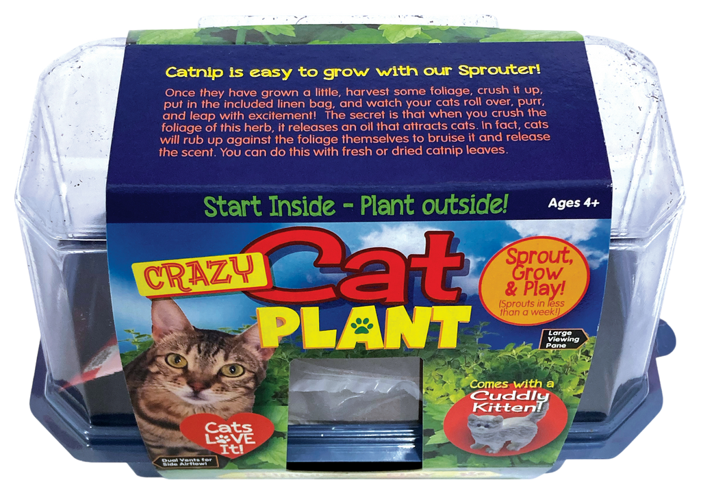 Crazy Cat Plant terrarium kit with clear dome and sleeve featuring growing instructions