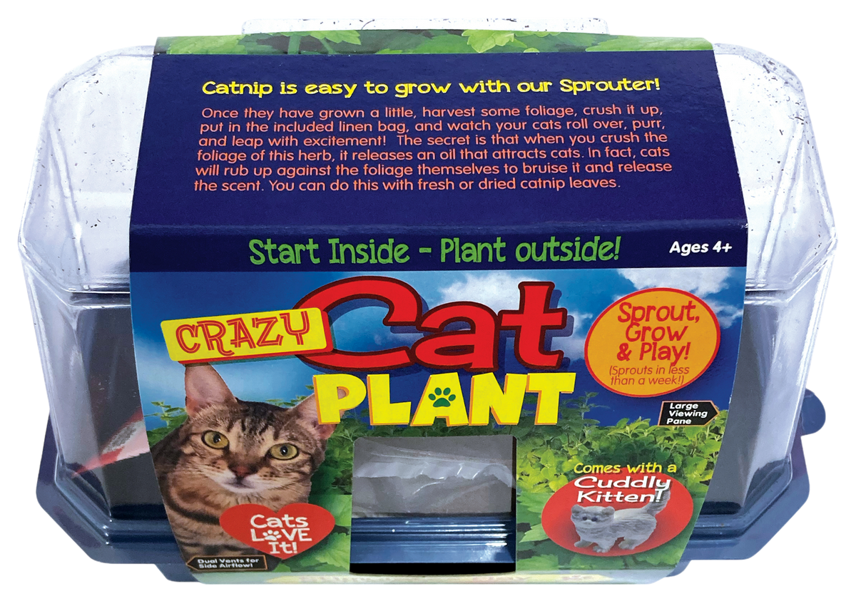 Crazy Cat Plant terrarium kit with clear dome and sleeve featuring growing instructions