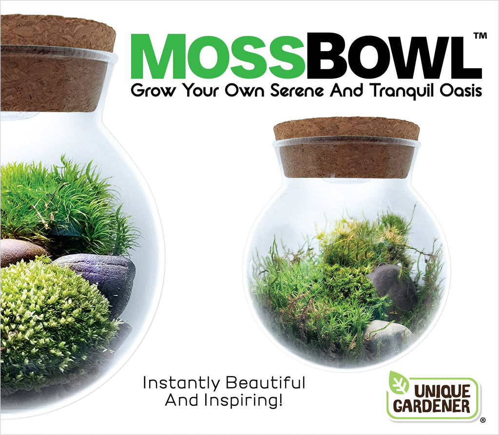 MossBowl packaging detail showing glass moss terrariums with cork lids