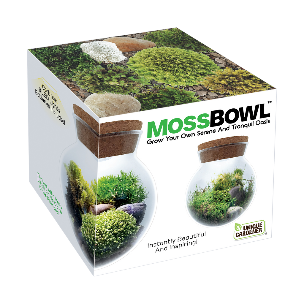 MossBowl moss garden kit box with terrarium examples and images of included mosses