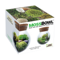 MossBowl moss garden kit box with terrarium examples and images of included mosses