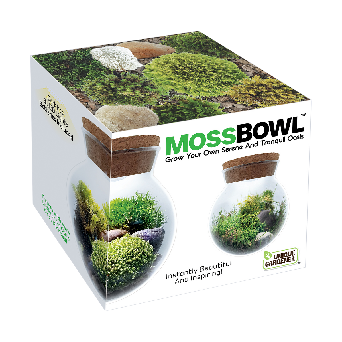 MossBowl moss garden kit box with terrarium examples and images of included mosses