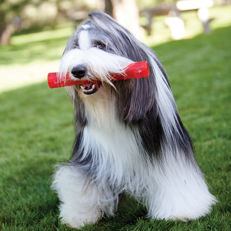 Red rubber chew ball held in dog's mouth, with KONG embossed