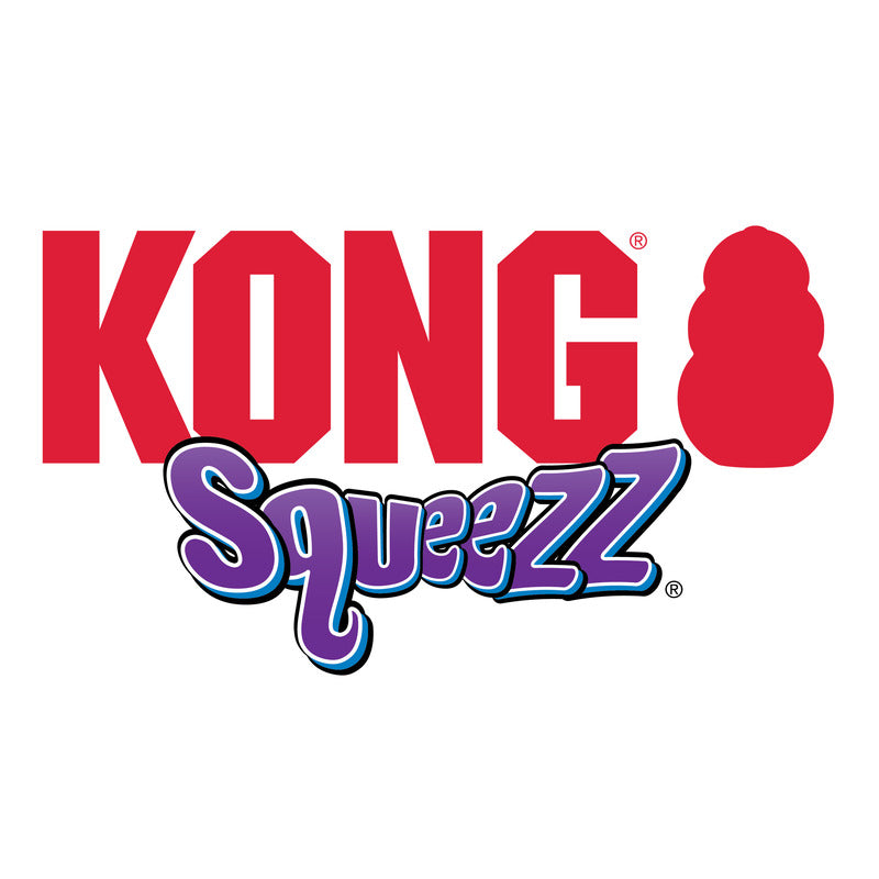 KONG Squeezz logo graphic with red heart icon