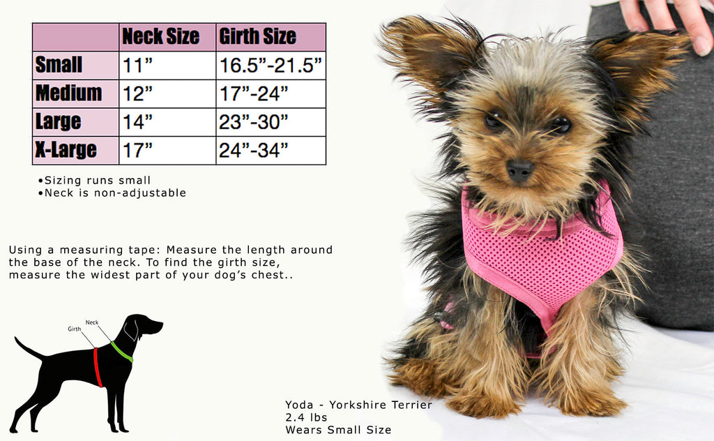 Dog wearing a pink mesh dog harness with black edging and straps