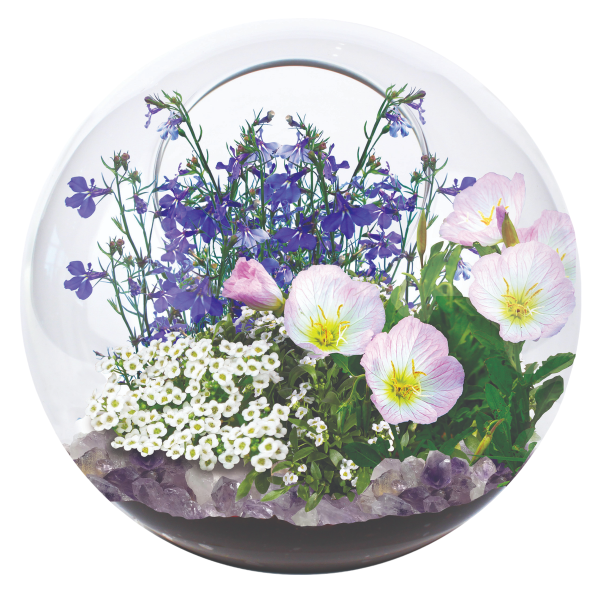 Fairy Triad Glass Terrarium Seed Starting Kit