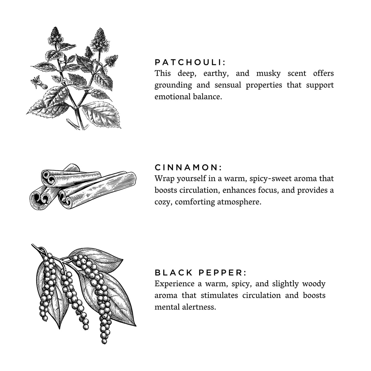 Patchouli, cinnamon, and black pepper scent notes illustration on white