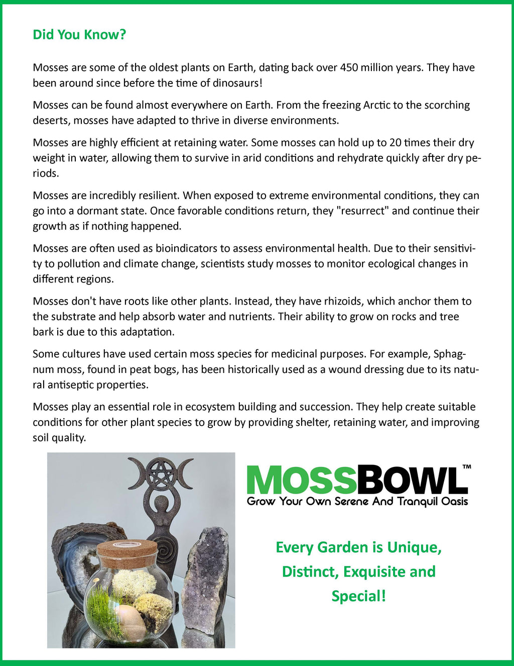 Moss garden kit infographic with moss-filled glass bowl, cork lid, moss specimens, and kit logo