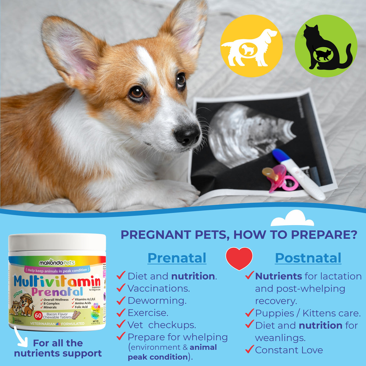 Prenatal multivitamin for pets: bacon-flavored chewable tablets bottle beside dog