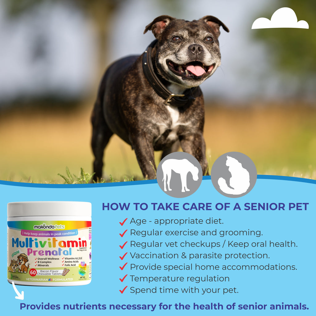 Prenatal multivitamin bottle for senior pets, 60 bacon-flavored chewables