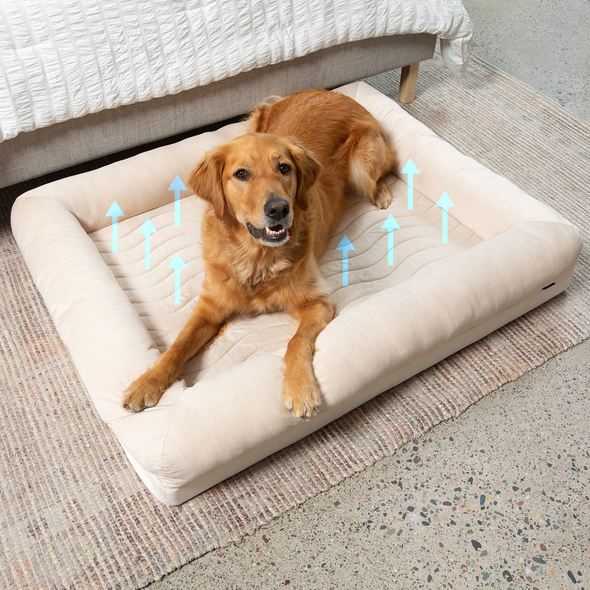 Arctic sand cooling dog bed, cream bolsters and base with dog lying on top