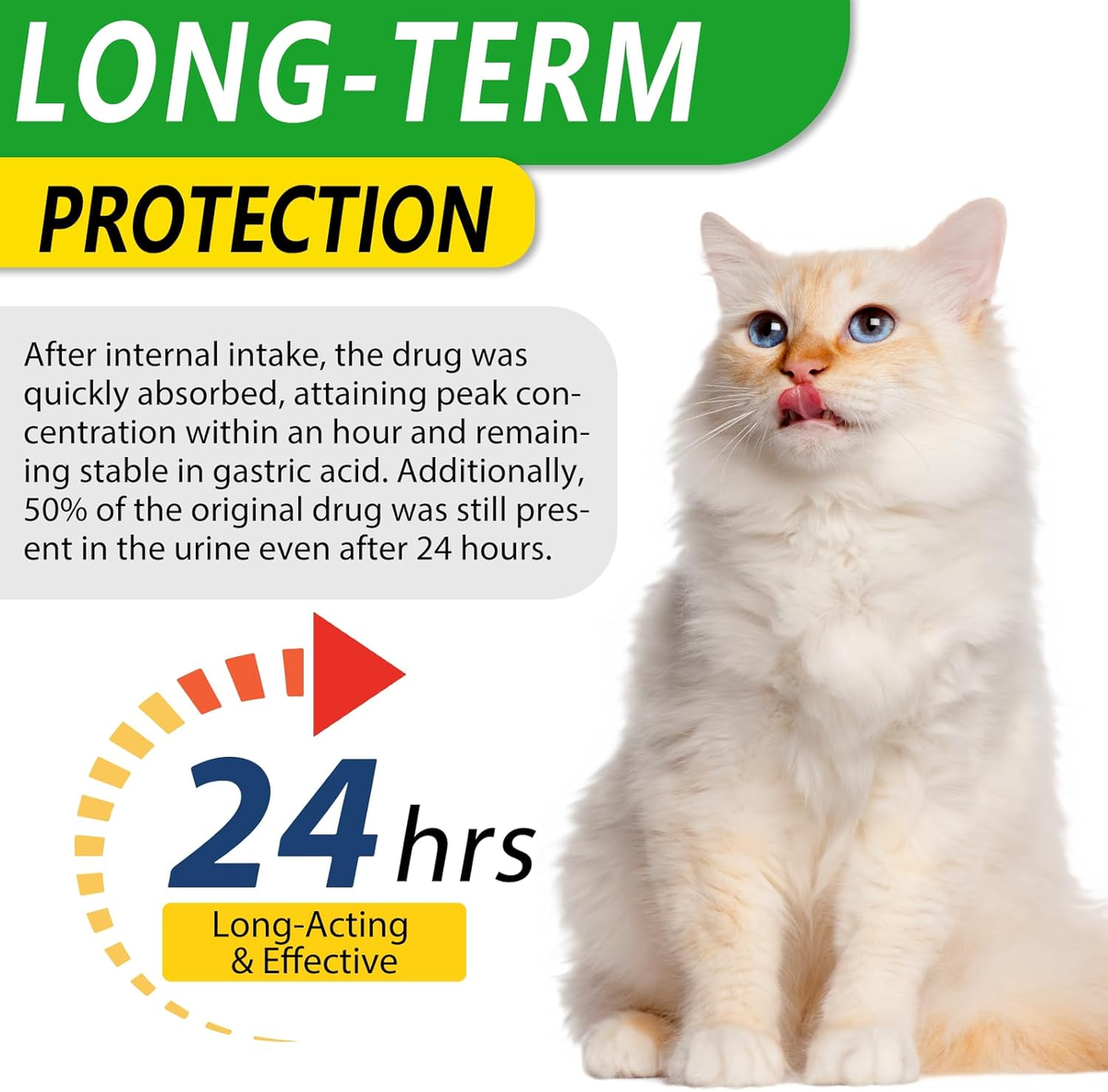White cat beside a 24-hour long-term protection claim for the liquid supplement