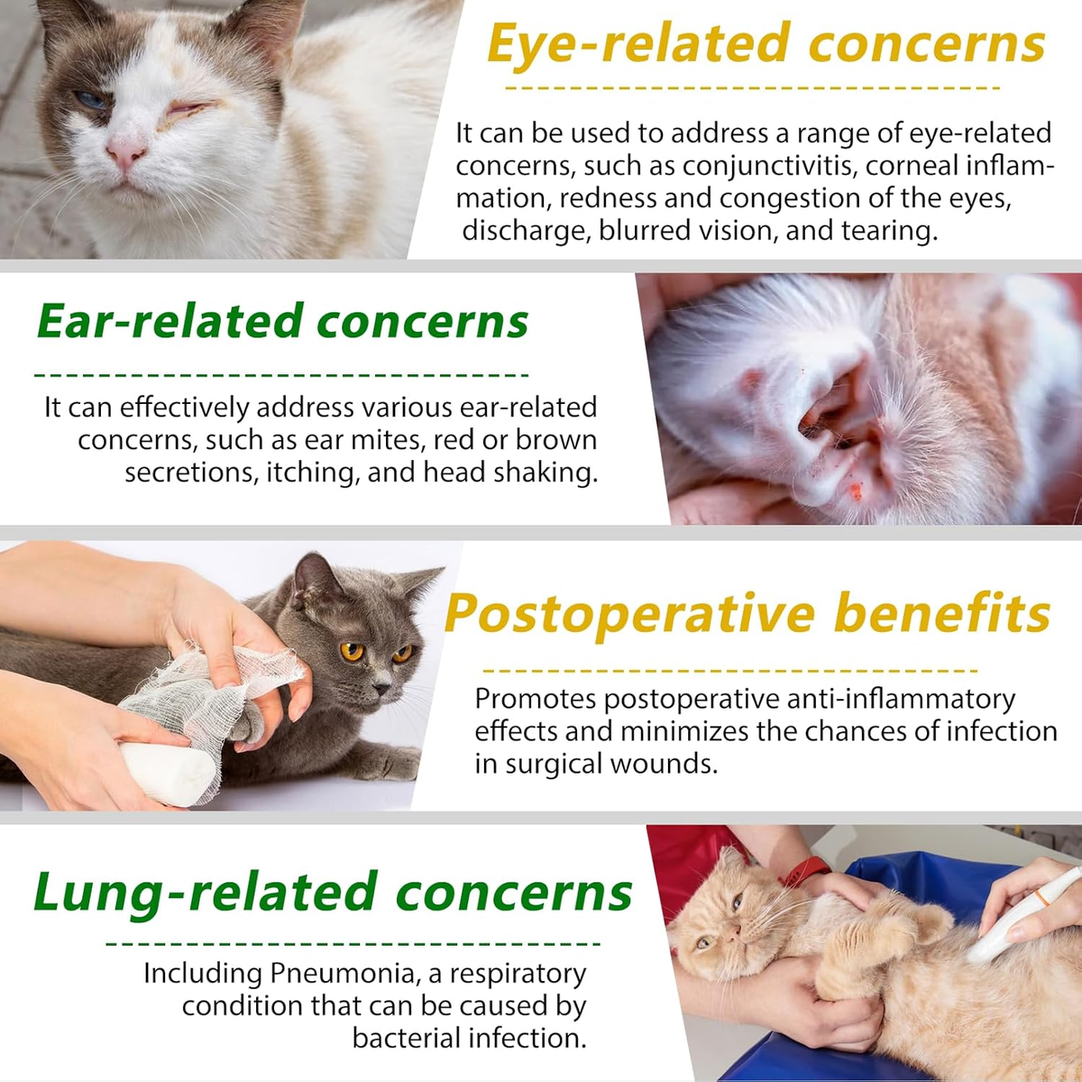 Six-panel guide showing cats with eye, ear, postoperative, and lung-related concerns