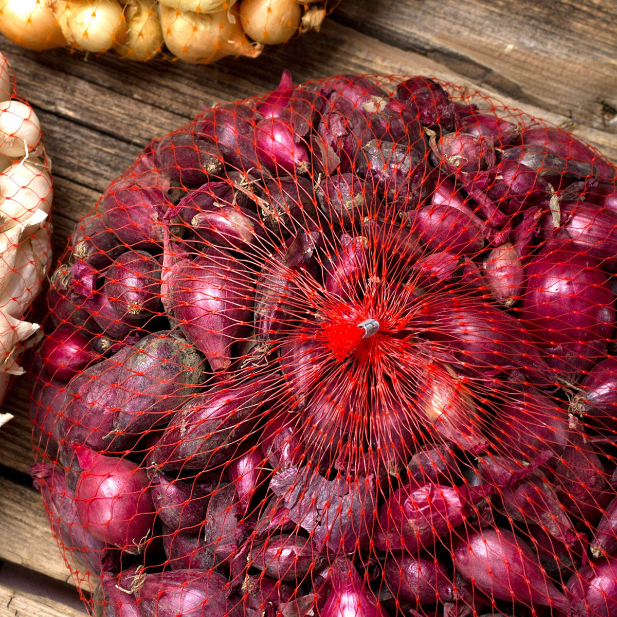 Red onion sets gathered in a mesh bag