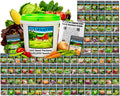Vegetable heirloom seed vault with green-lidded bucket and labeled seed packets