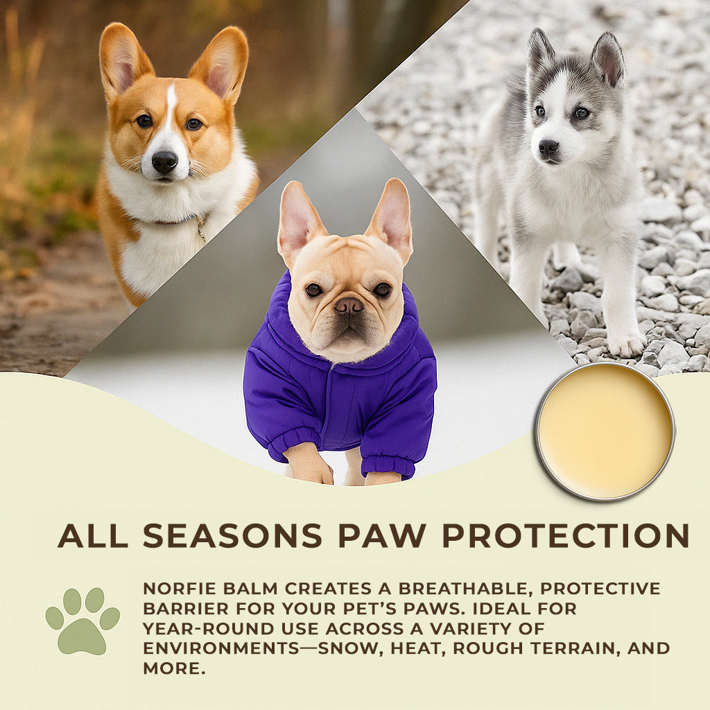 Pet repairing balm tin with three dogs in winter clothing