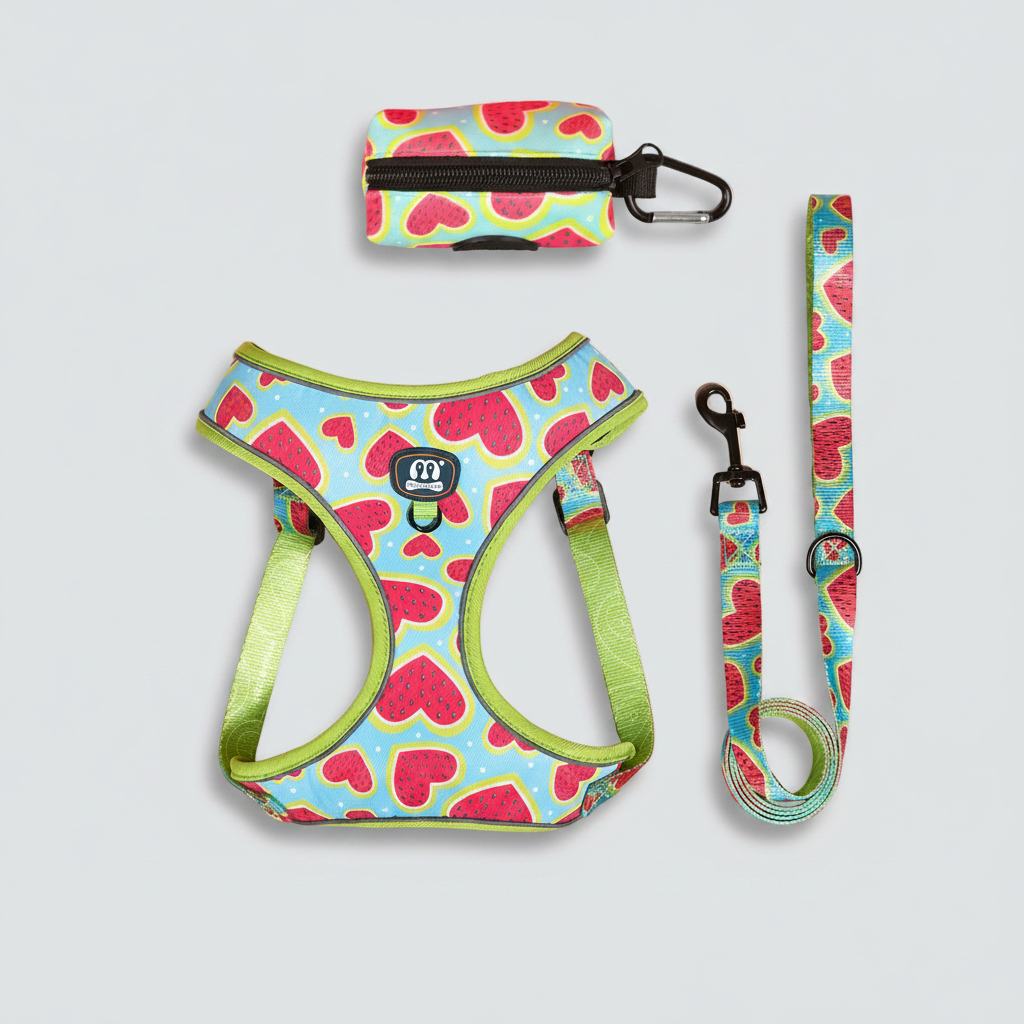 Dog harness and leash set with watermelon heart pattern, matching pouch and leash
