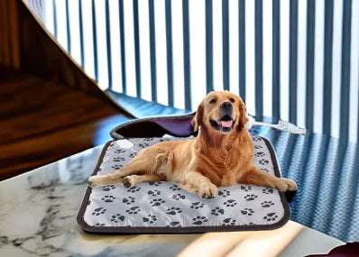 Dog resting on a heated pet blanket with paw-print design and attached cord