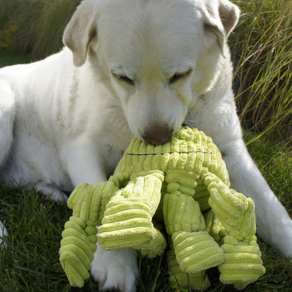 Lime green plush octopus dog toy with ribbed tentacles in a lying pose