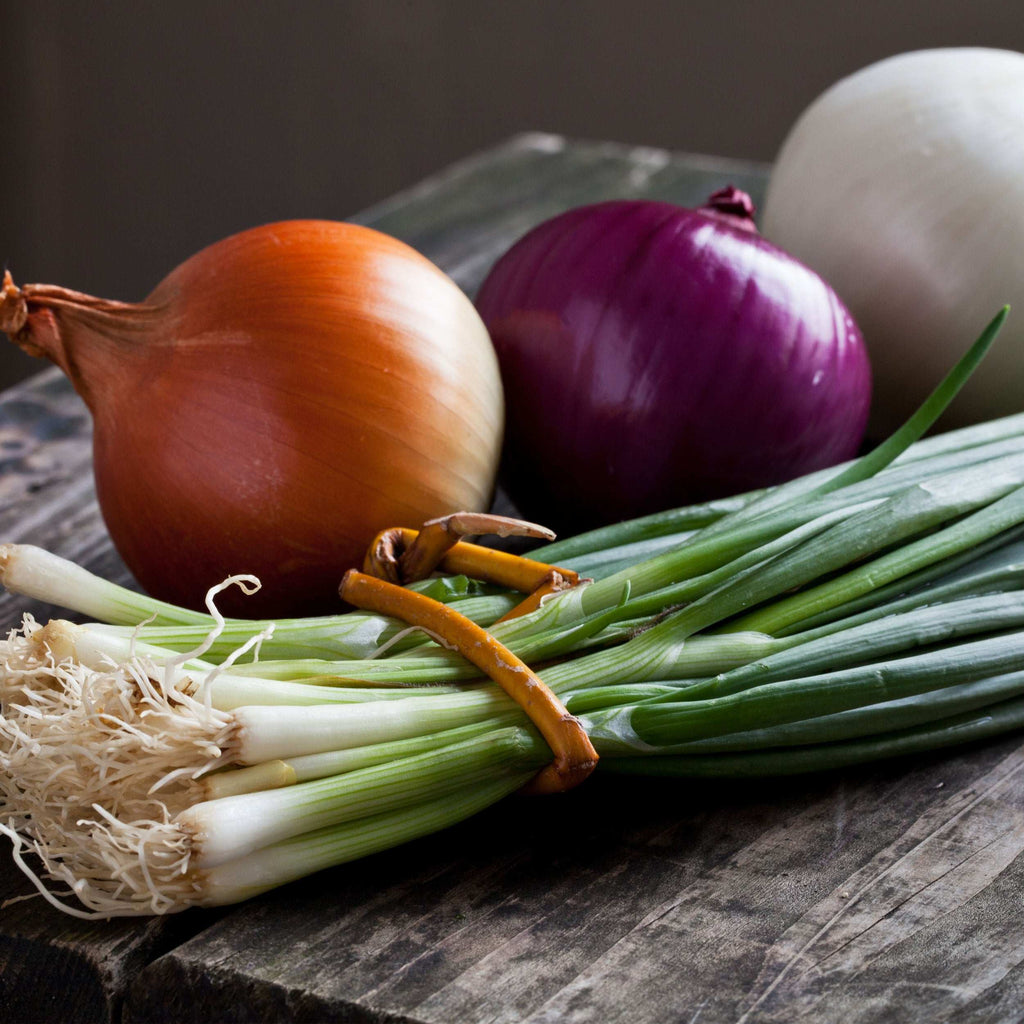 Yellow onion alongside red and white onions and fresh scallions.