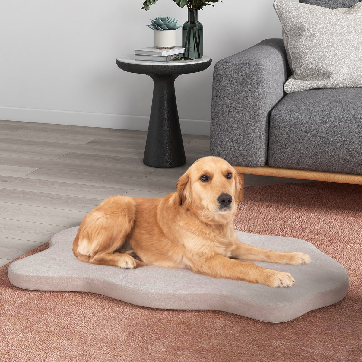 Beige orthopedic memory-foam dog bed with rounded edges, dog lying on top