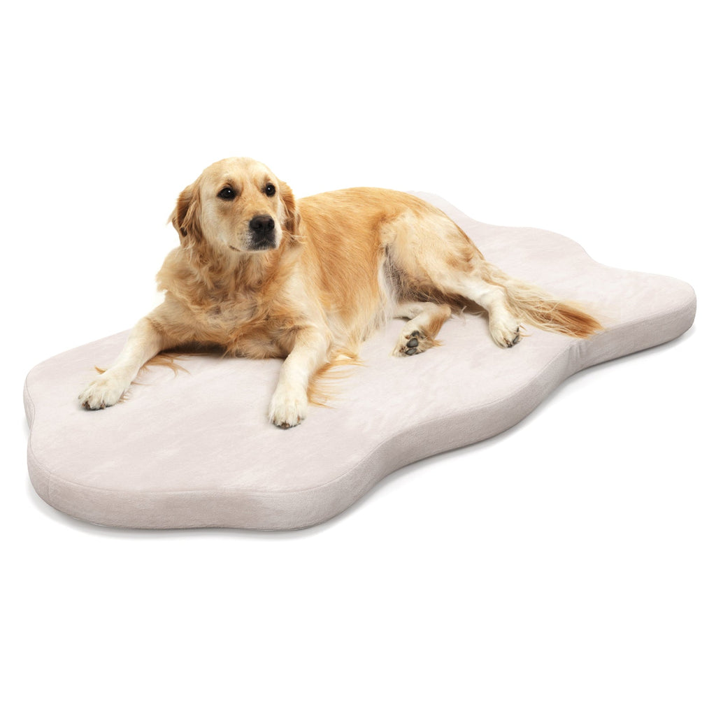 Beige orthopedic memory-foam dog bed with curved base, dog lying comfortably