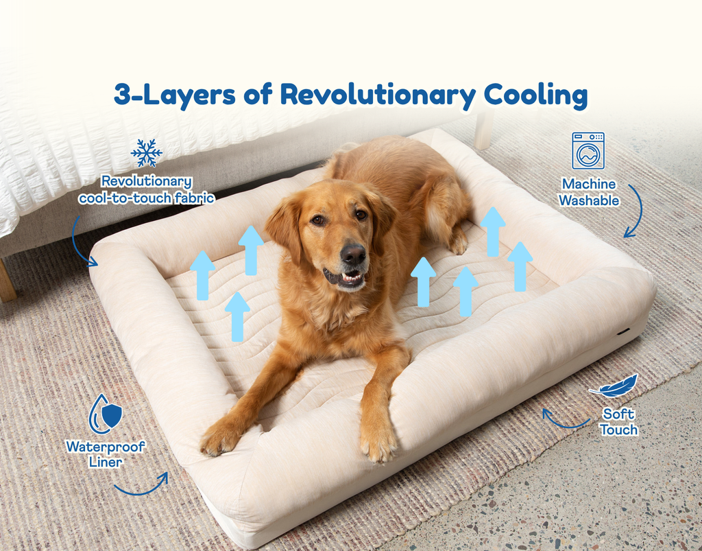 Cooling 4-bolster dog bed with light arctic sand cover and raised side cushions, with dog