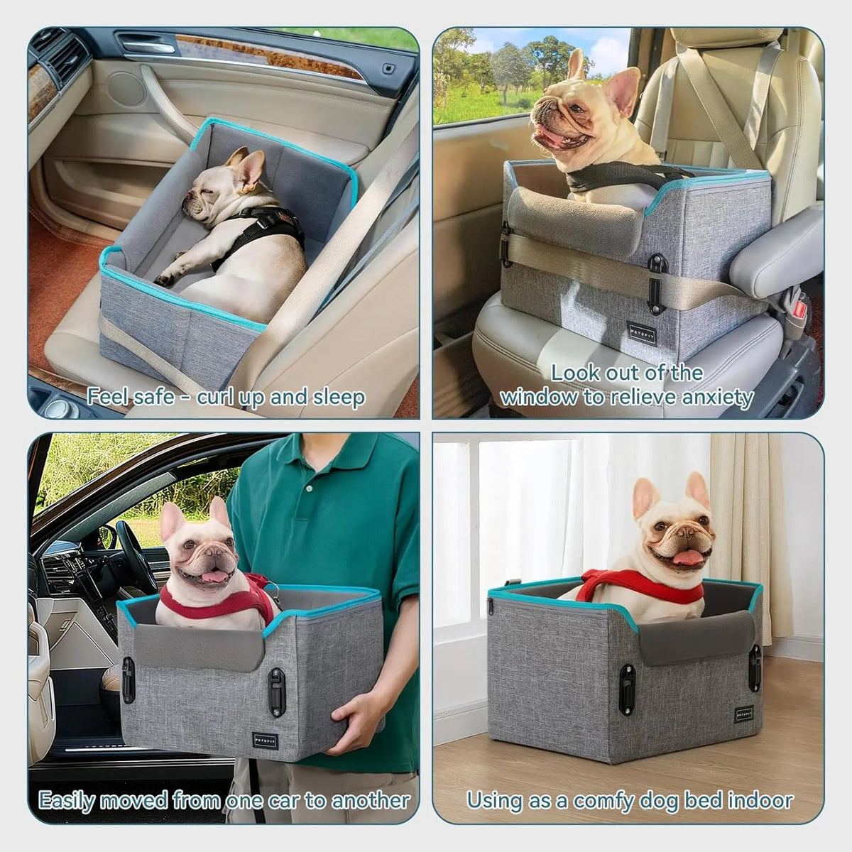 Gray dog booster car seat with blue trim in car, featuring tethered sides