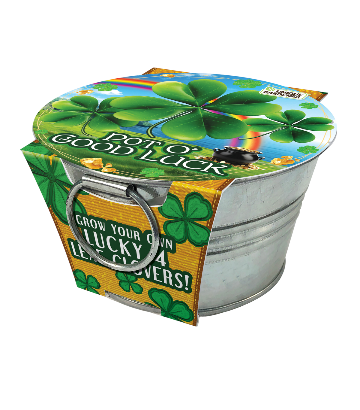 Shamrock growing kit in a metal pot with a colorful clover lid and printed label