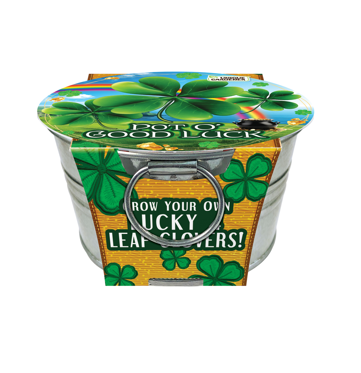 Front view of a shamrock growing kit in a clover-printed metal pot
