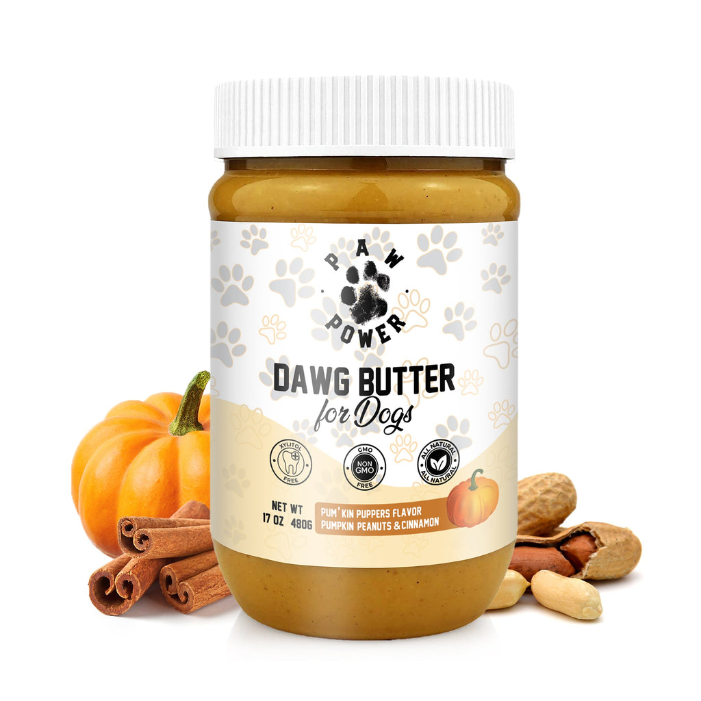 Pumpkin peanut-butter for dogs in white jar with pumpkin and spice items