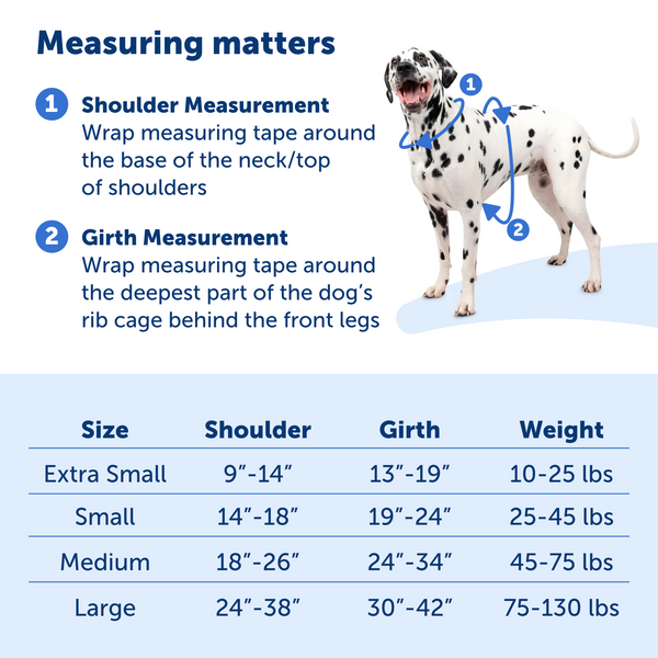 Sizing guide showing shoulder and girth measurements on a dog wearing the harness.