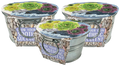 Three succulent-growing kits in metal pails with printed lids and pebble-patterned labels.