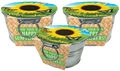 Sunflower growing kit multipack with three galvanized pails and colorful sunflower lids
