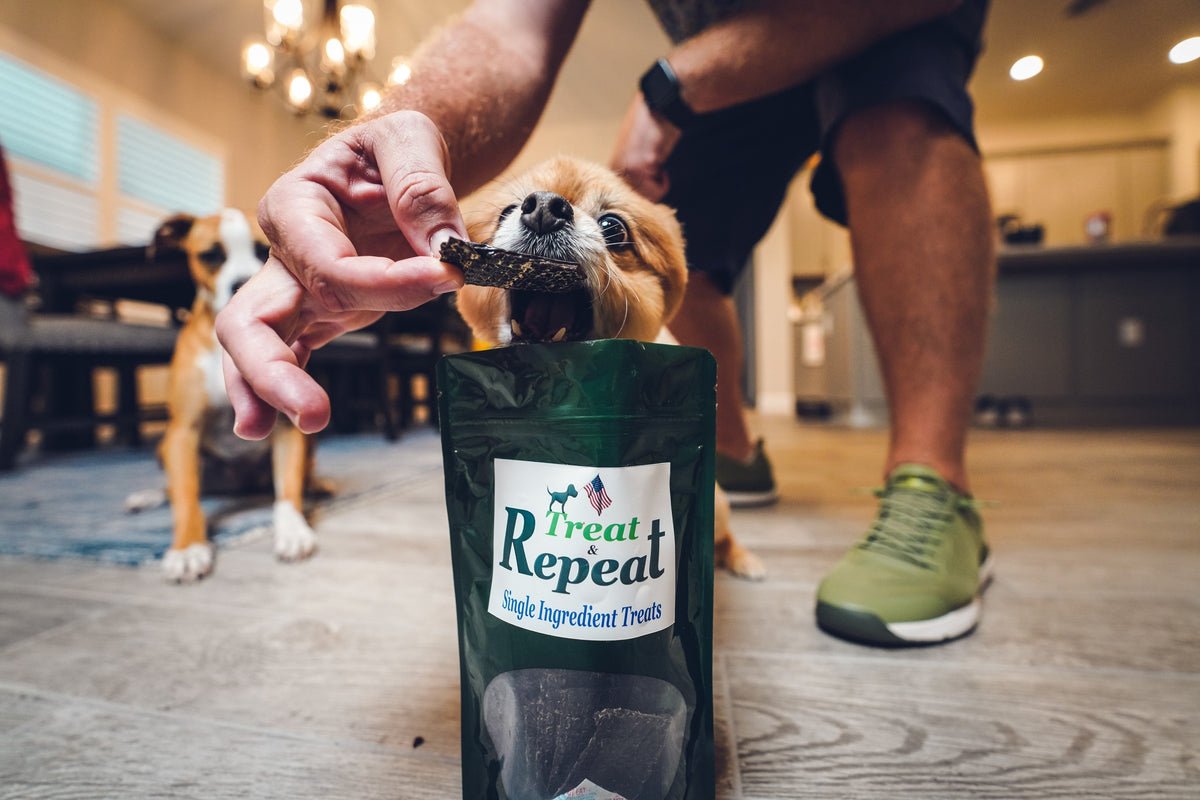 Dog sniffing beef liver treat pouch while hand offers jerky pieces
