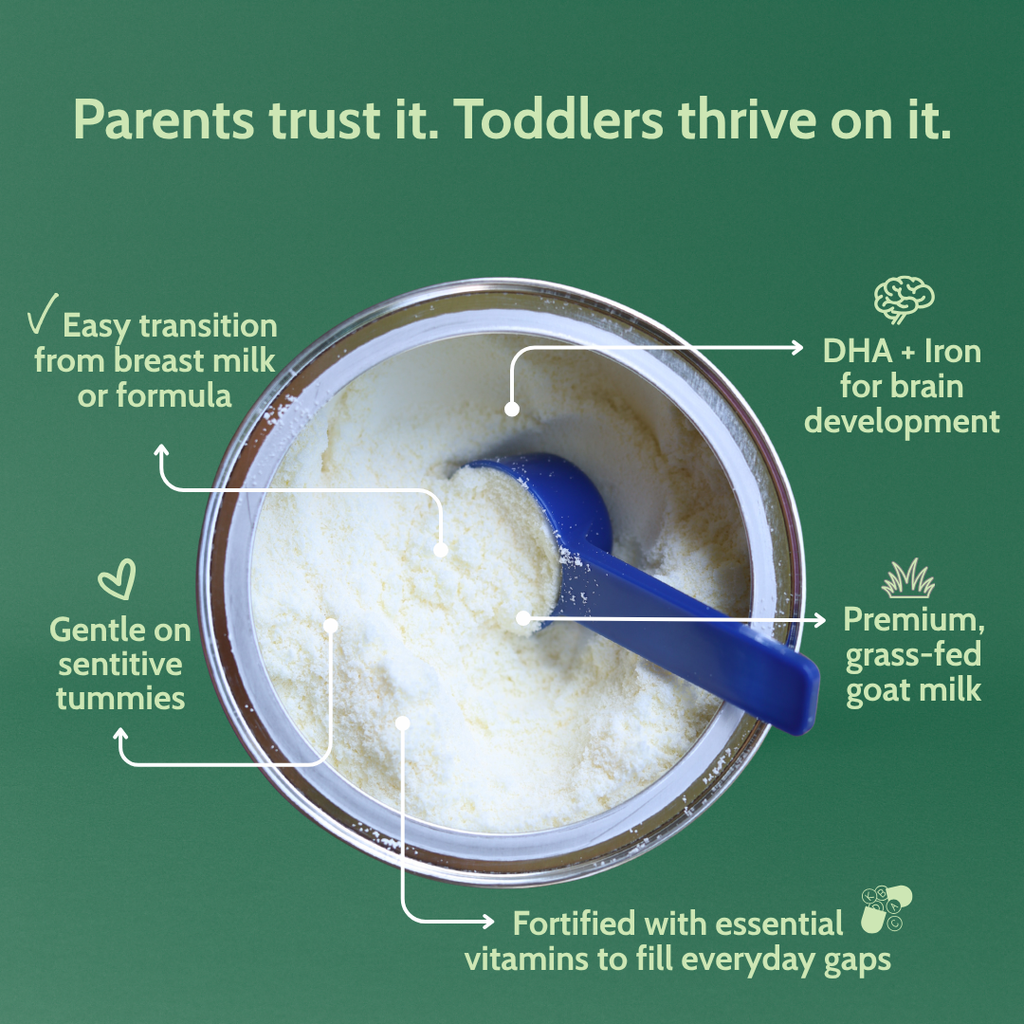 Holle goat milk toddler drink can cutaway with scoop of white powder.