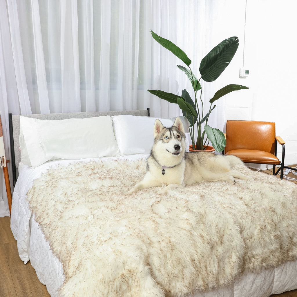 Waterproof faux-fur throw blanket, light beige, with dog lying on it