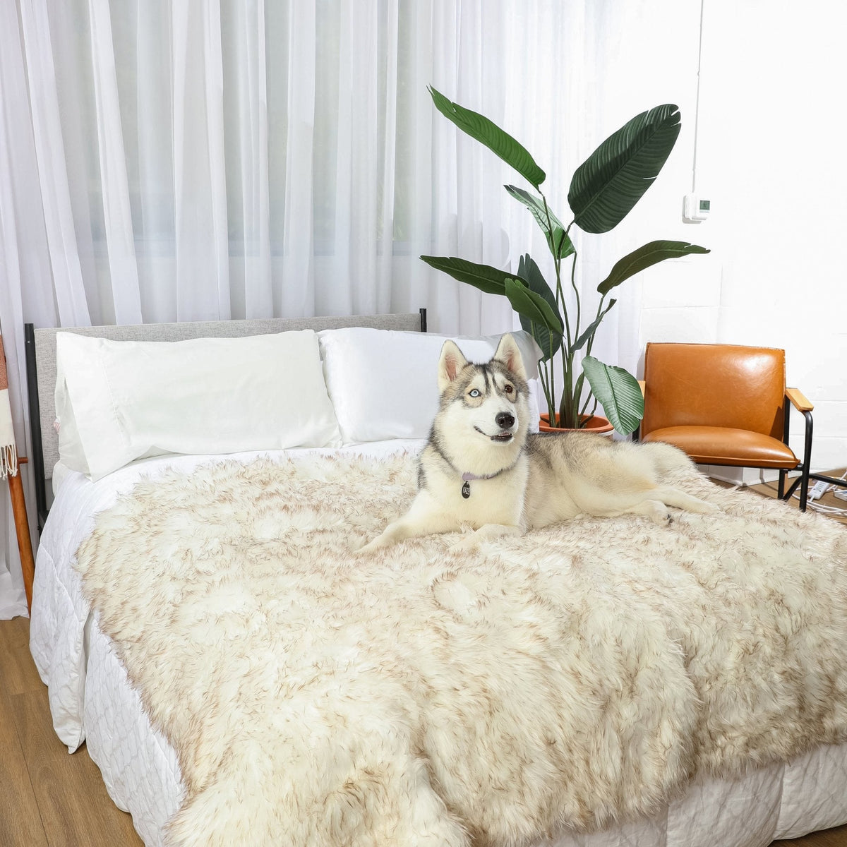 Waterproof faux-fur throw blanket, light beige, with dog lying on it