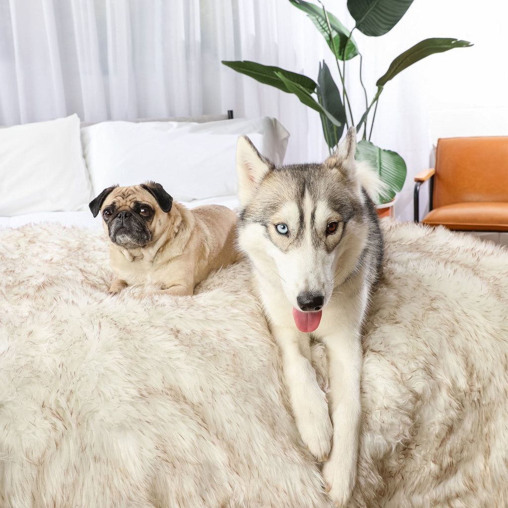 White faux-fur waterproof throw blanket covering a bed with thick plush texture