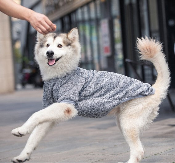 Gray winter pet sweater with high collar and long sleeves, snug knit for walking dogs