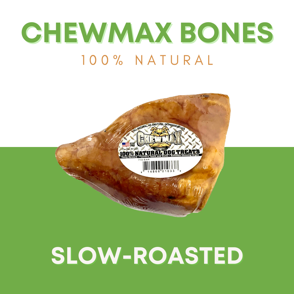 Brown pig ear dog treat, crimped and curled single piece